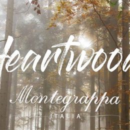 Montegrappa Fortuna Heartwood