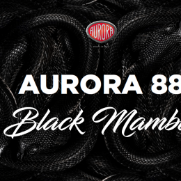 Aurora 88 Black Mamba