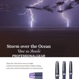 Sailor Storm over the Ocean Professional Gear
