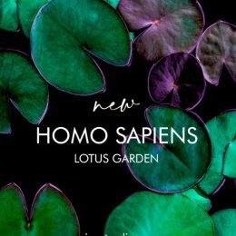 Homo Sapiens Lotus Garden