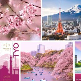 Parker Jotter Tokyo - Edizione Speciale
