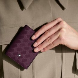 Extreme 3.0 Card holder 4cc Cassis