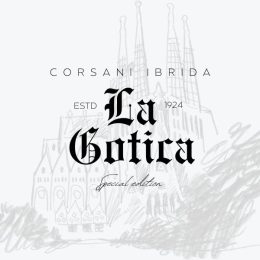 Corsani Ibrida La Gotica - Steel nib